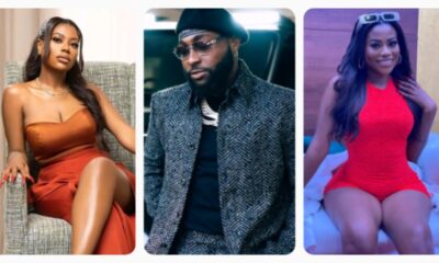 Davido Reacts After Sophia Momodu Called Out Irresponsible Baby Daddies (DETAILS)