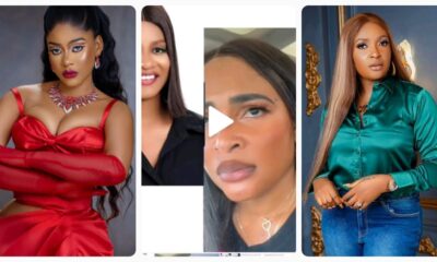 What does Phyna do for a living? what has she done since she left the BBNaija house? She's not relevant - Blessing CEO says, reveals why she can't drag Phyna